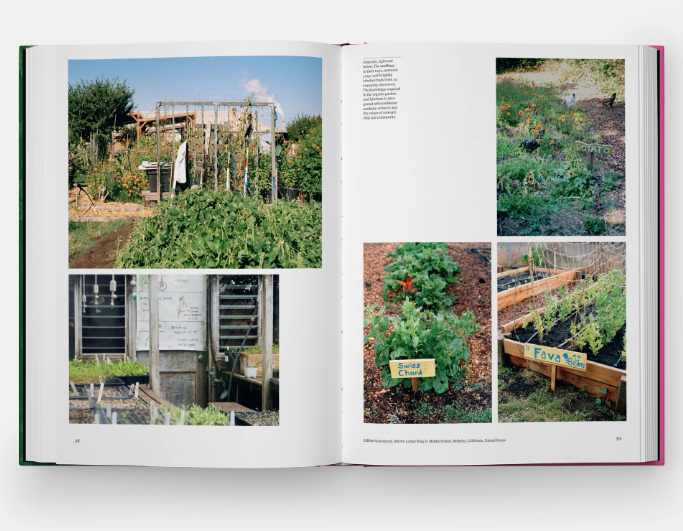 The Kitchen Garden