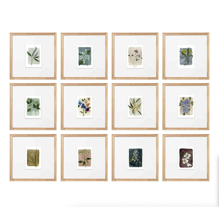 Grid of framed botanical prints on a white background