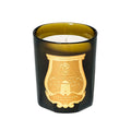 Trudon Ernesto scented candle in dark glass jar with gold emblem label