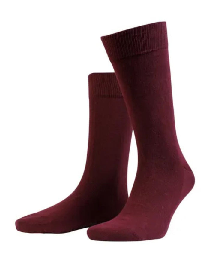 TRUE SOCK BORDEAUX