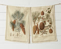 Winter Botanical Tea Towels